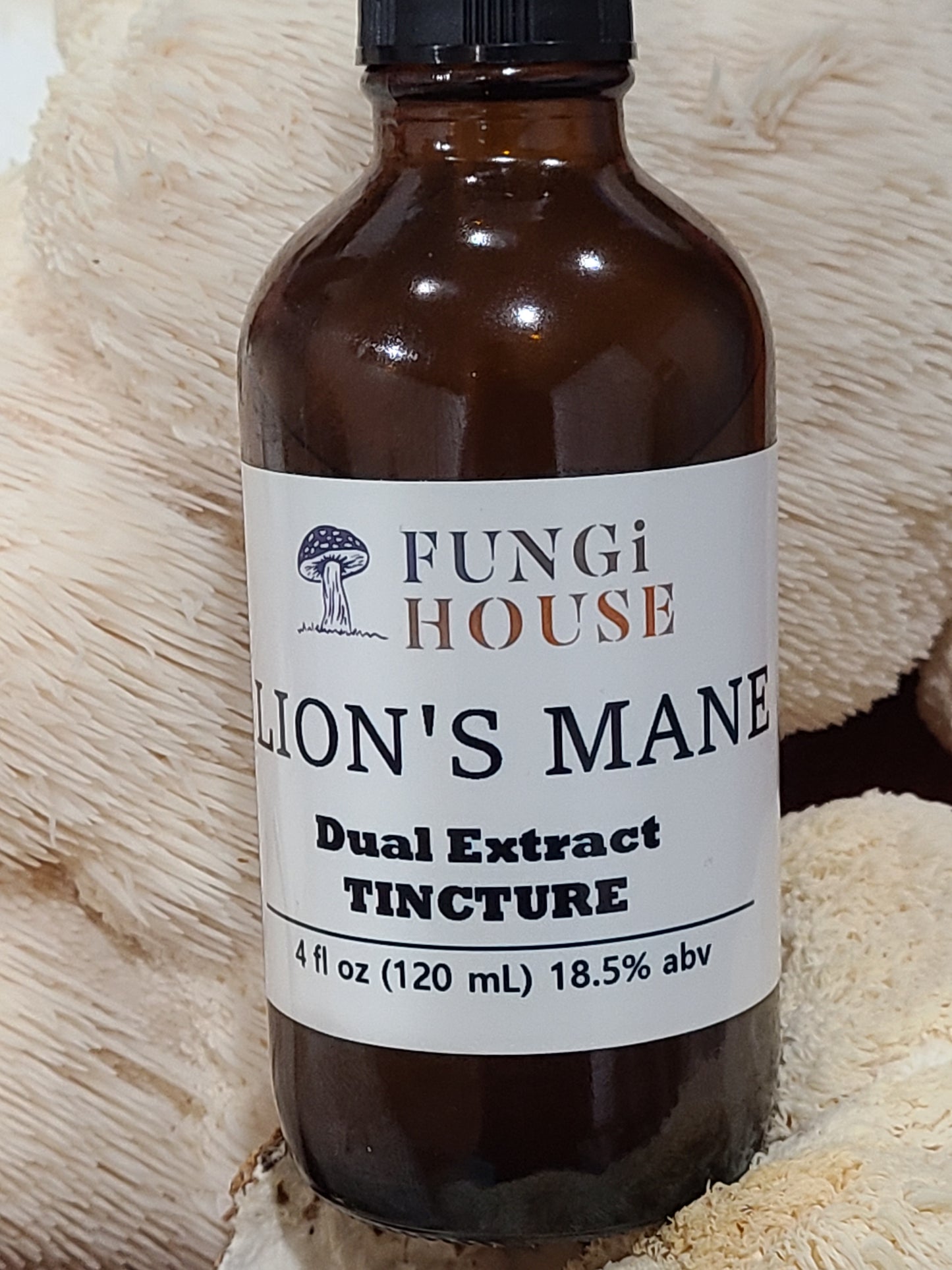 Lion's Mane Dual Extract Tincture